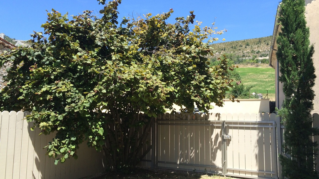 Photo of Outdoor in Mevouillon