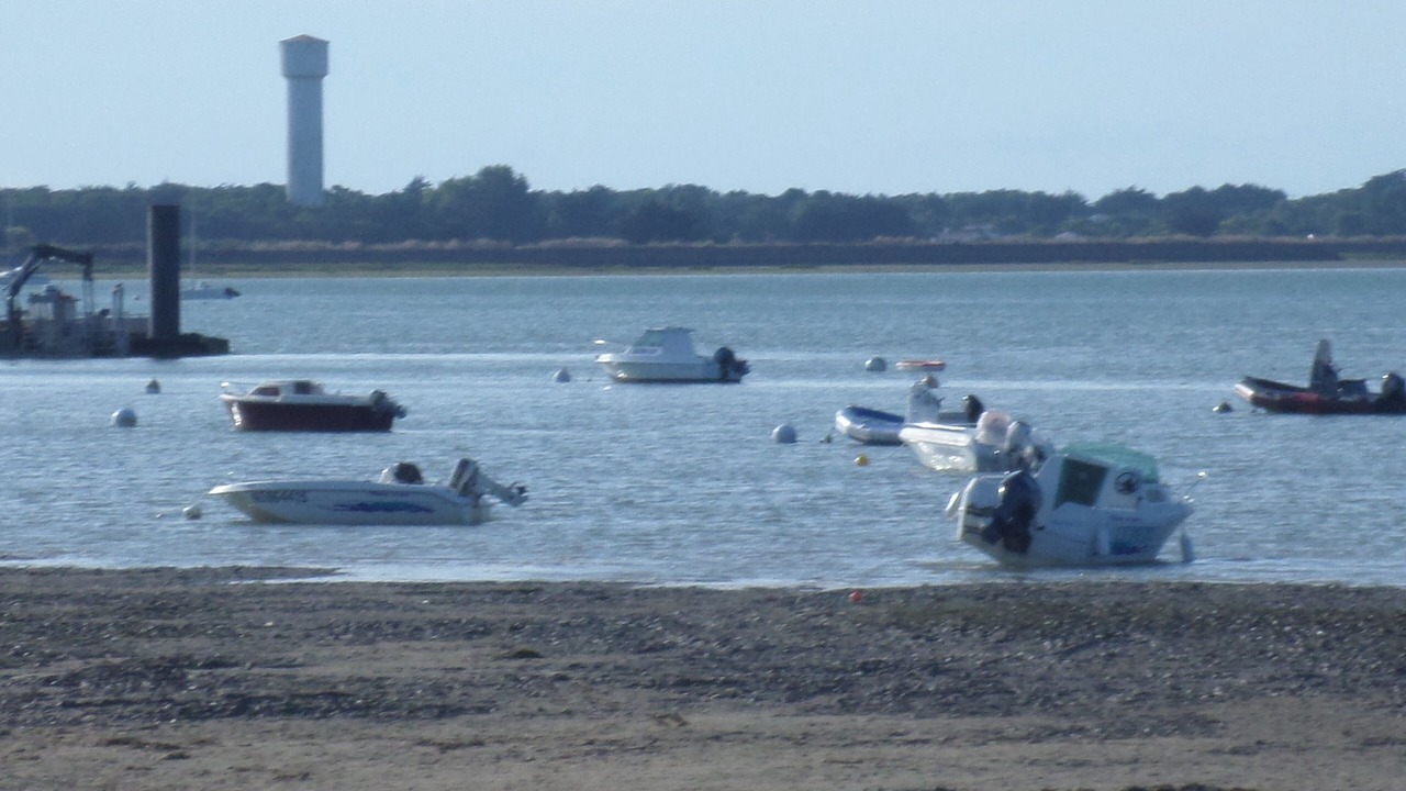 Photo of Others in La Barre-de-Monts