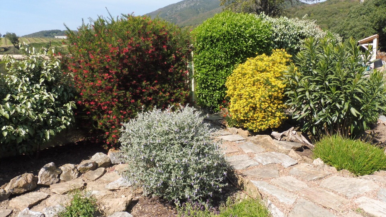 Photo of Outdoor in Cabrerolles