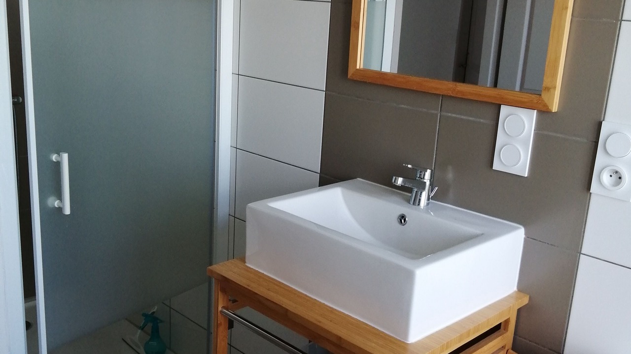 Photo of Bathroom in Mouchamps