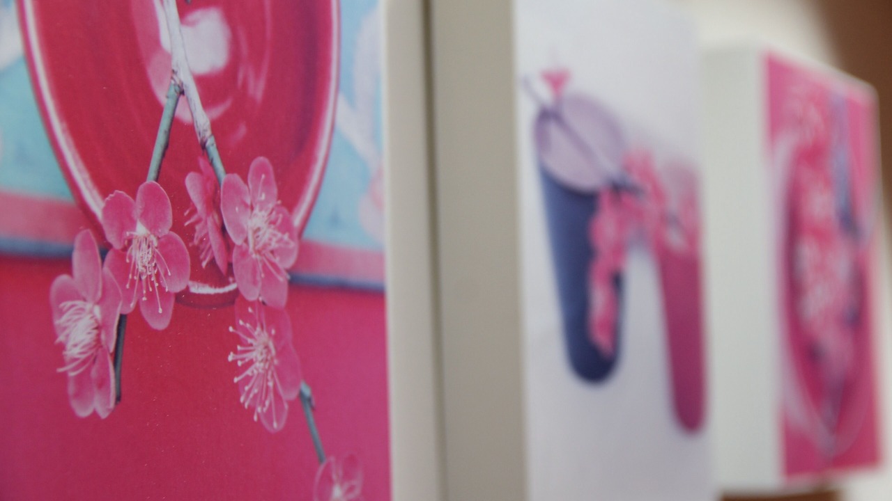 Photo of Others in Langoiran