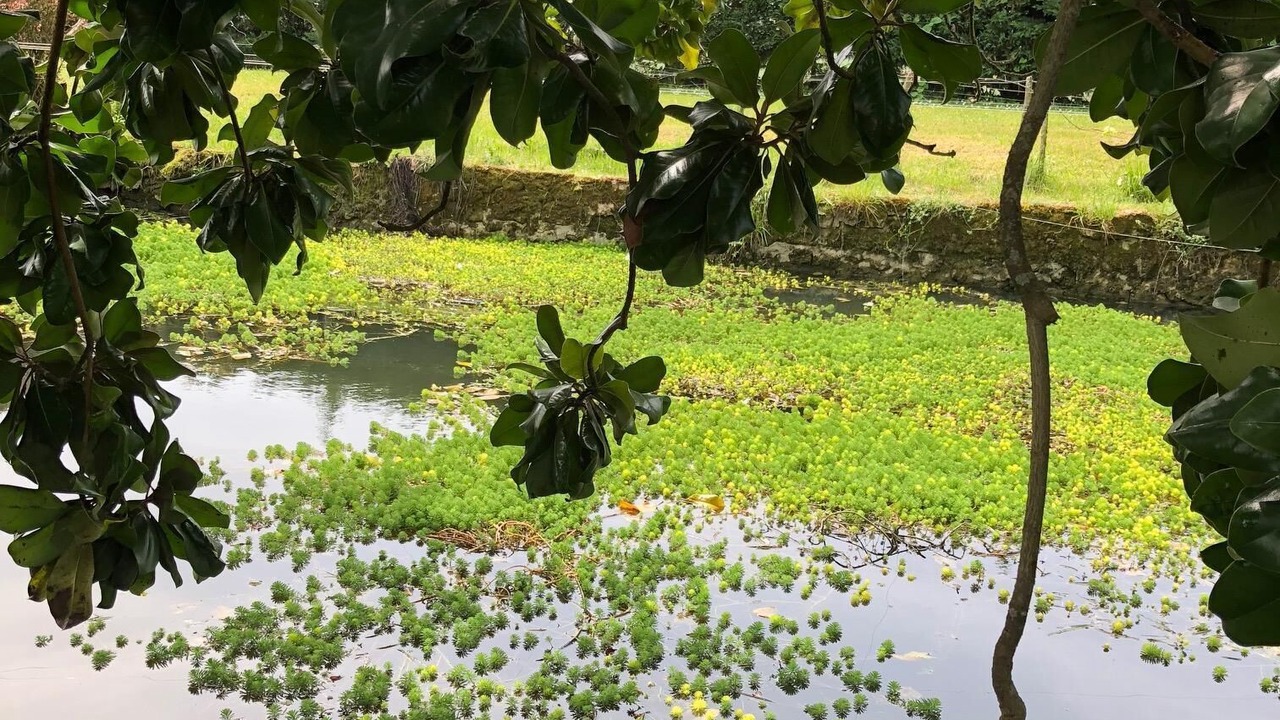 Photo of Outdoor in Langoiran