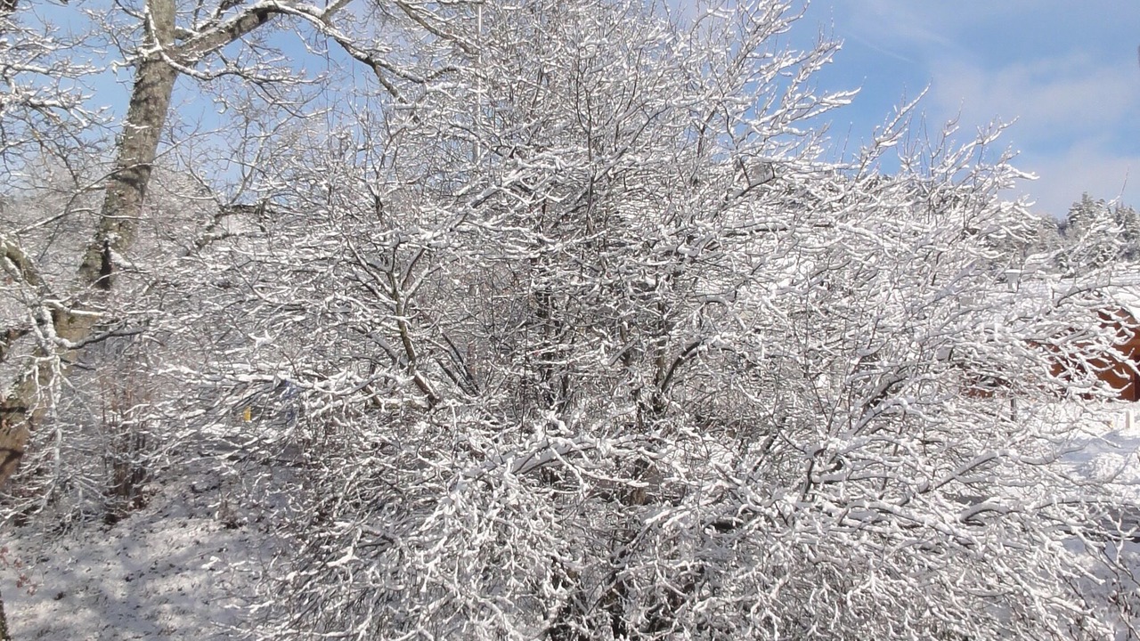 Photo of Others in Neussargues-Moissac