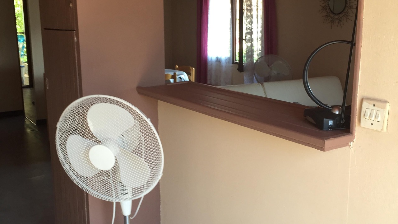 Photo of Others in Sagone