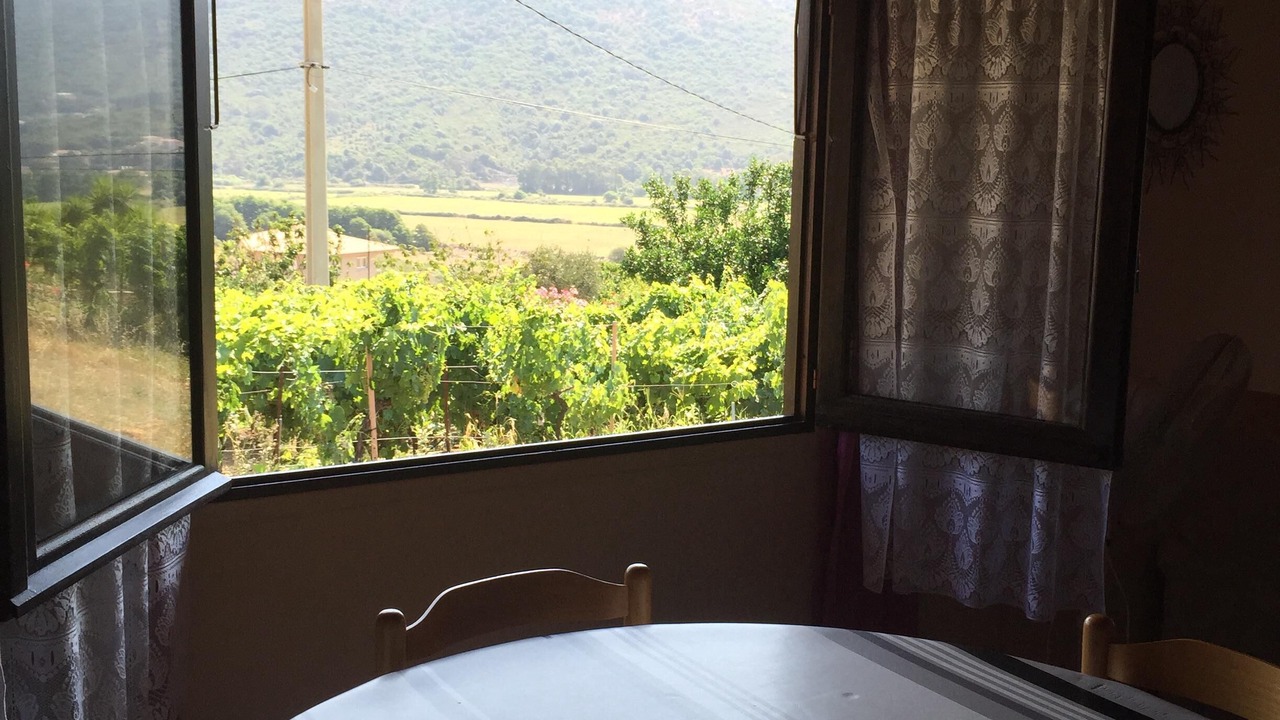 Photo of Others in Sagone