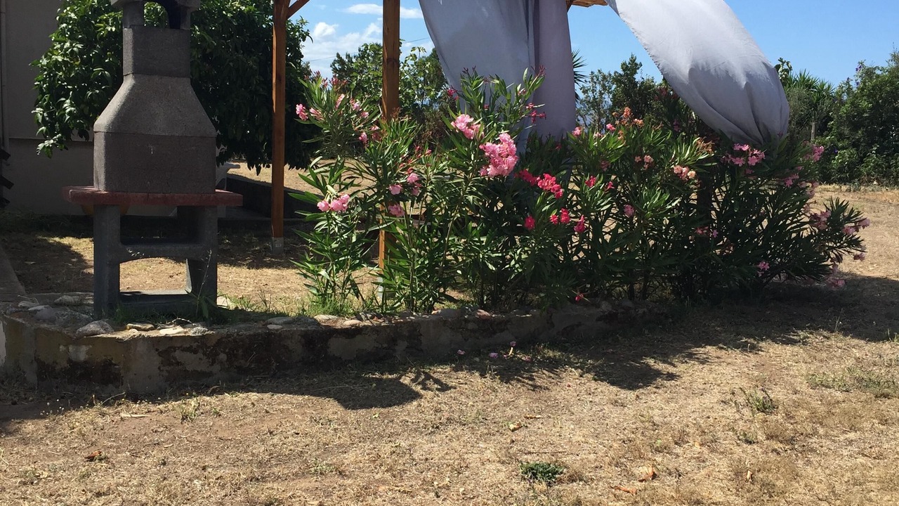 Photo of Outdoor in Sagone