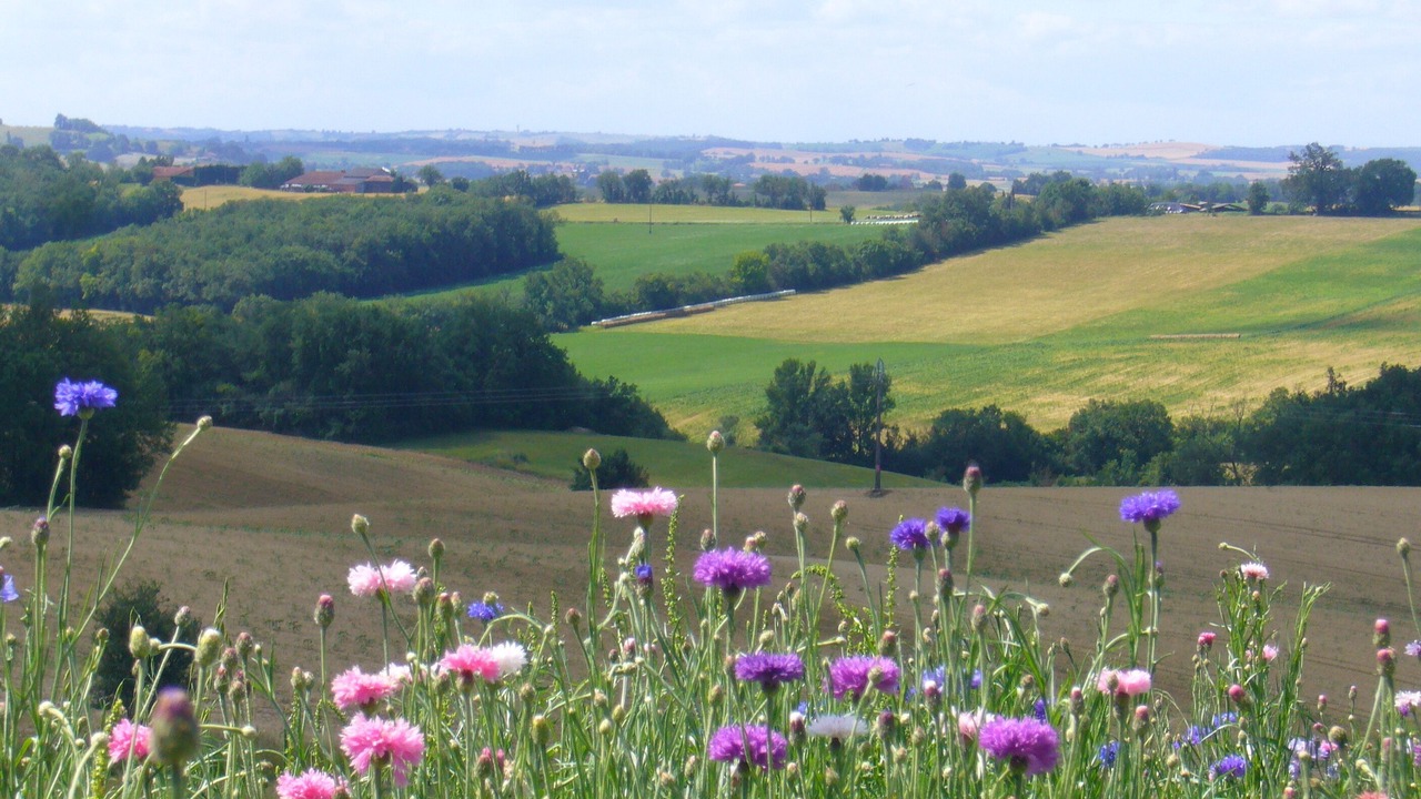 Photo of Outdoor in Gimont