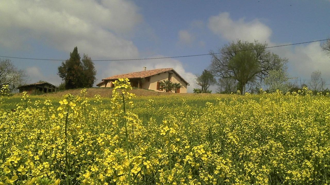 Photo of Outdoor in Gimont