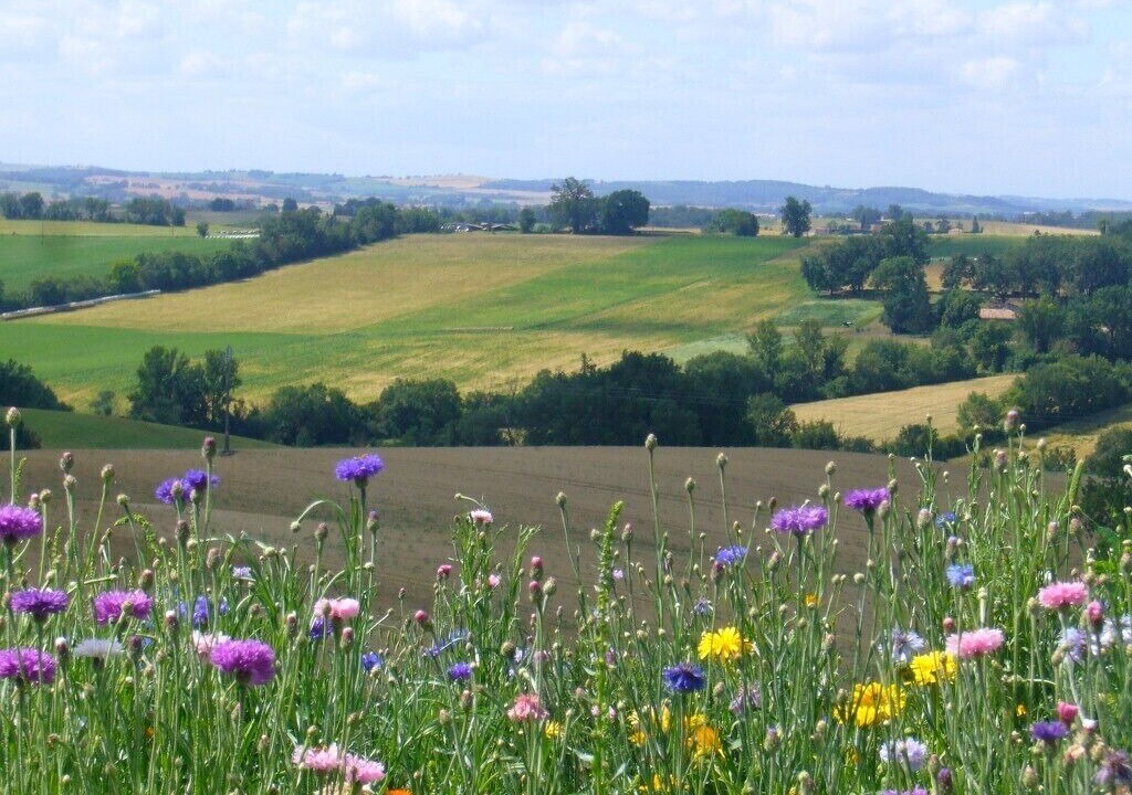 Photo of Outdoor in Gimont