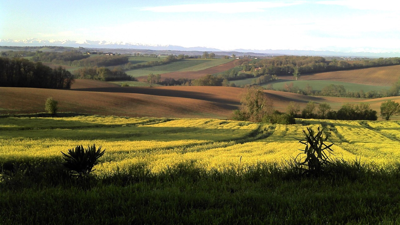 Photo of Outdoor in Gimont