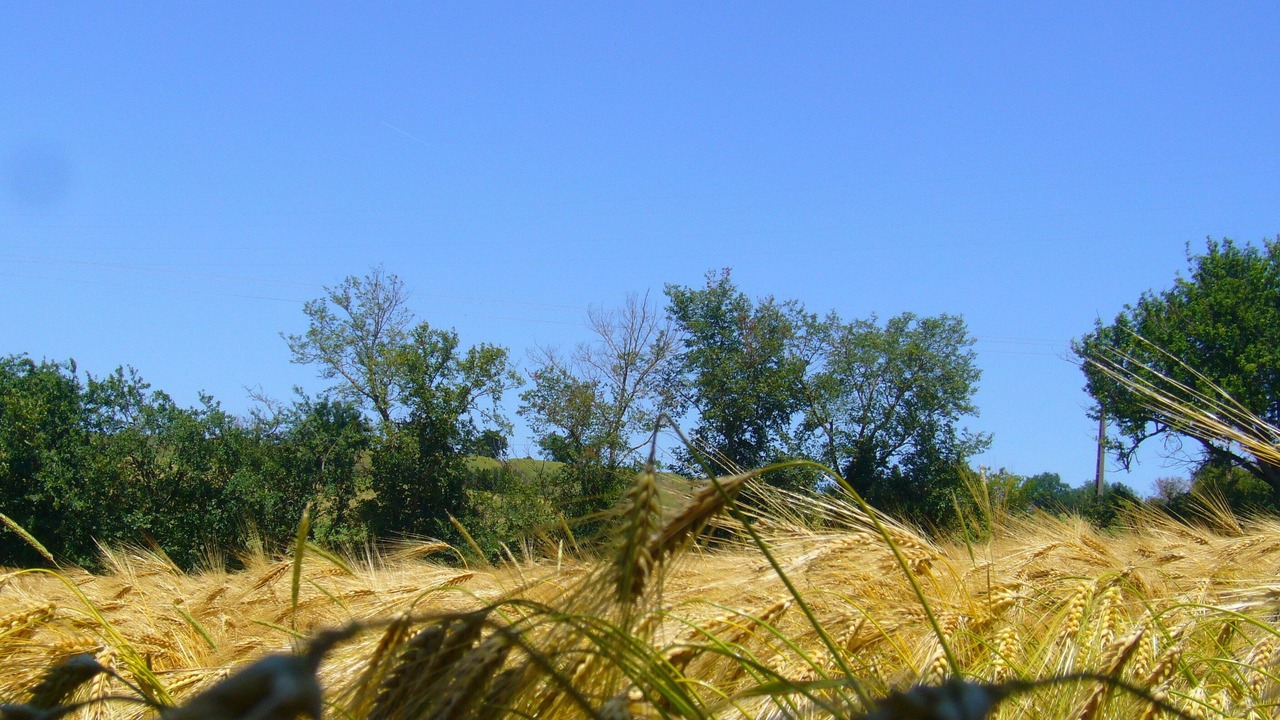 Photo of Outdoor in Gimont