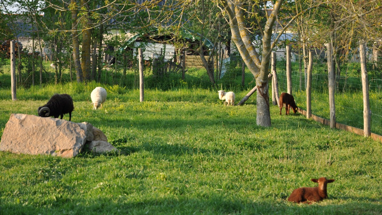 Photo of Outdoor in Allonnes