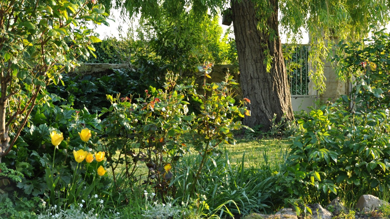Photo of Outdoor in Allonnes