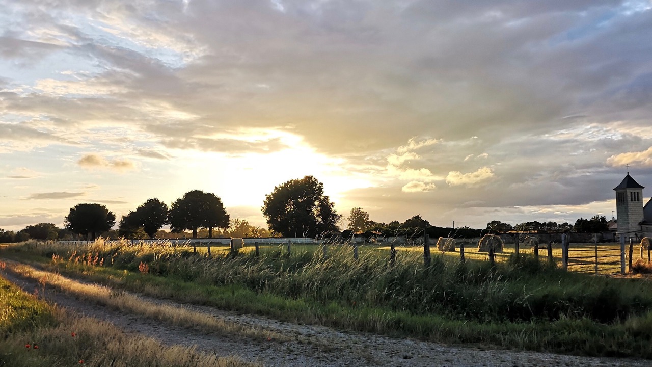 Photo of Outdoor in Allonnes