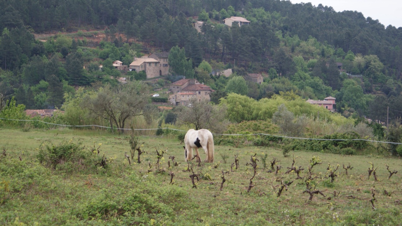 Photo of Outdoor in Les Salelles