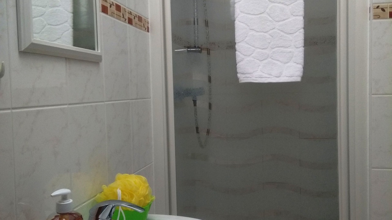 Photo of Bathroom in Docelles