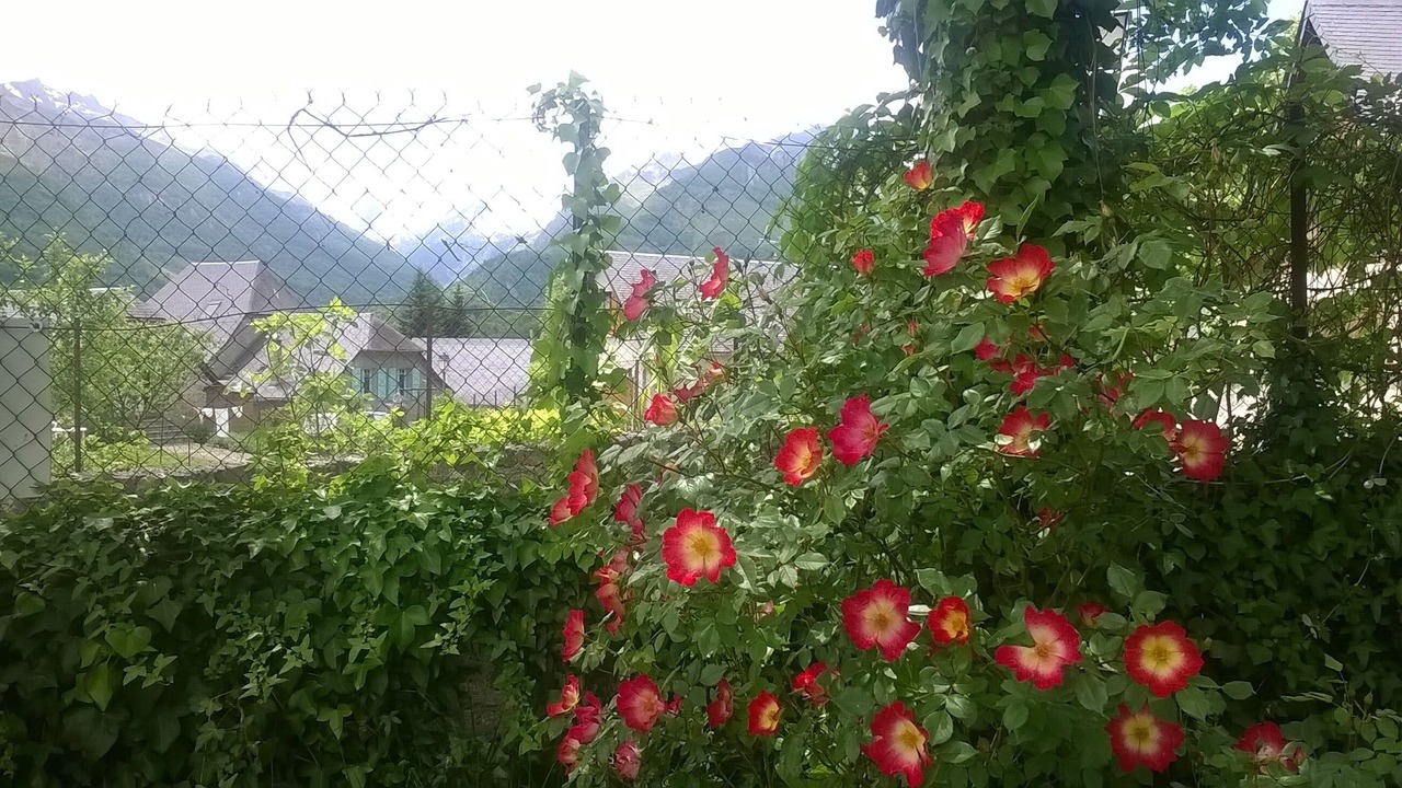 Photo of Outdoor in Aucun