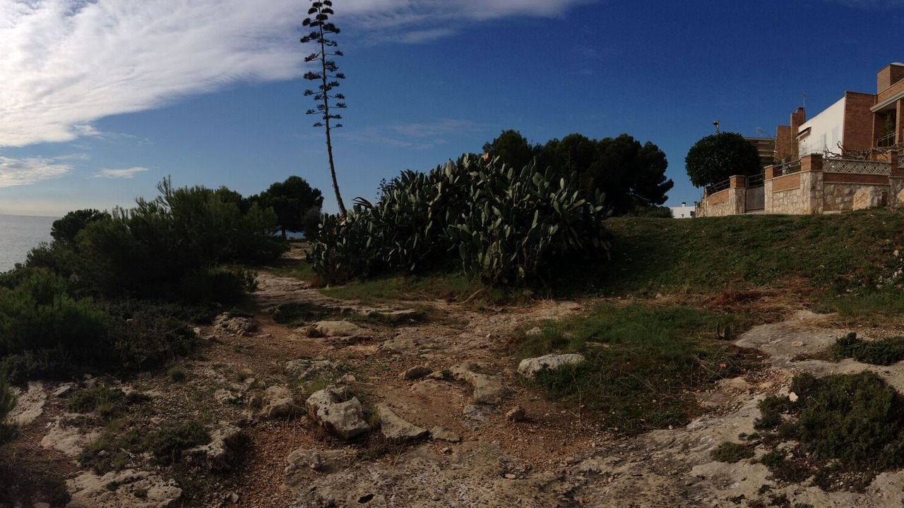 Photo of Others in Torredembarra