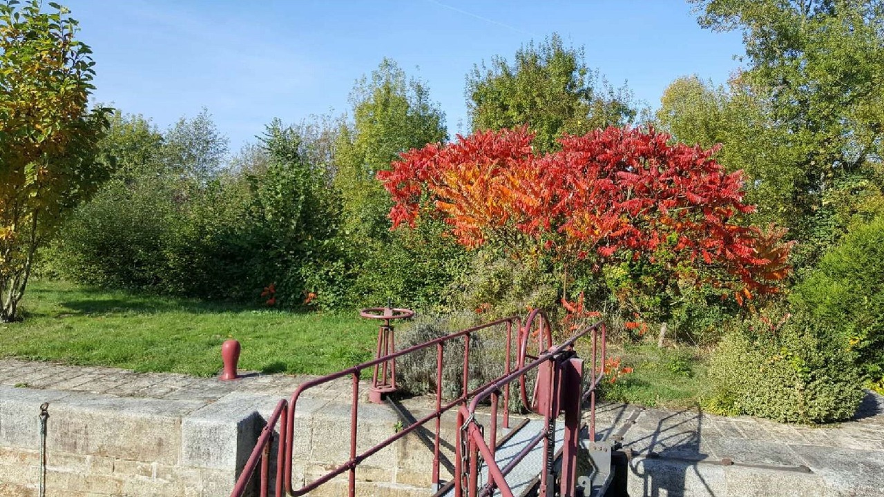 Photo of Outdoor in Le Lion-d'Angers