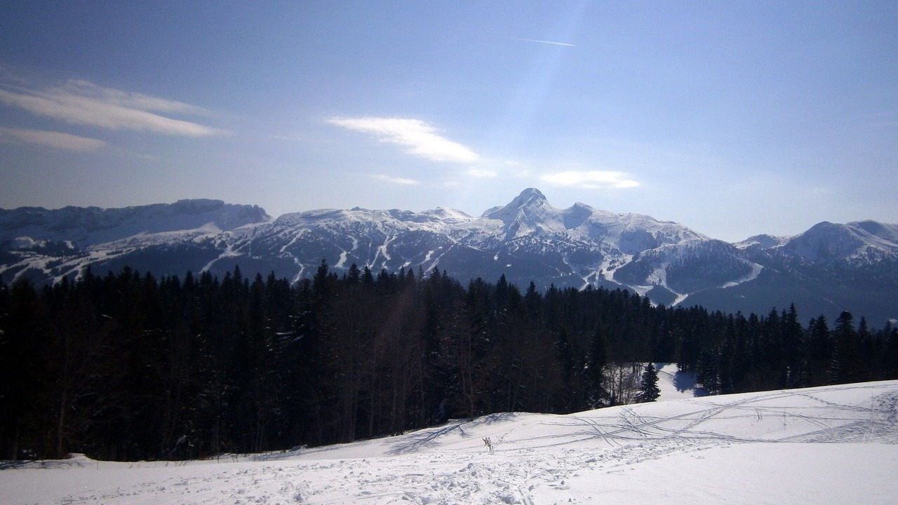 Photo of Others in Saint-Julien-en-Vercors