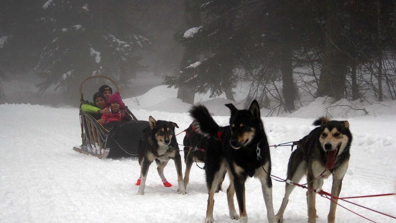 Photo of Others in Saint-Julien-en-Vercors