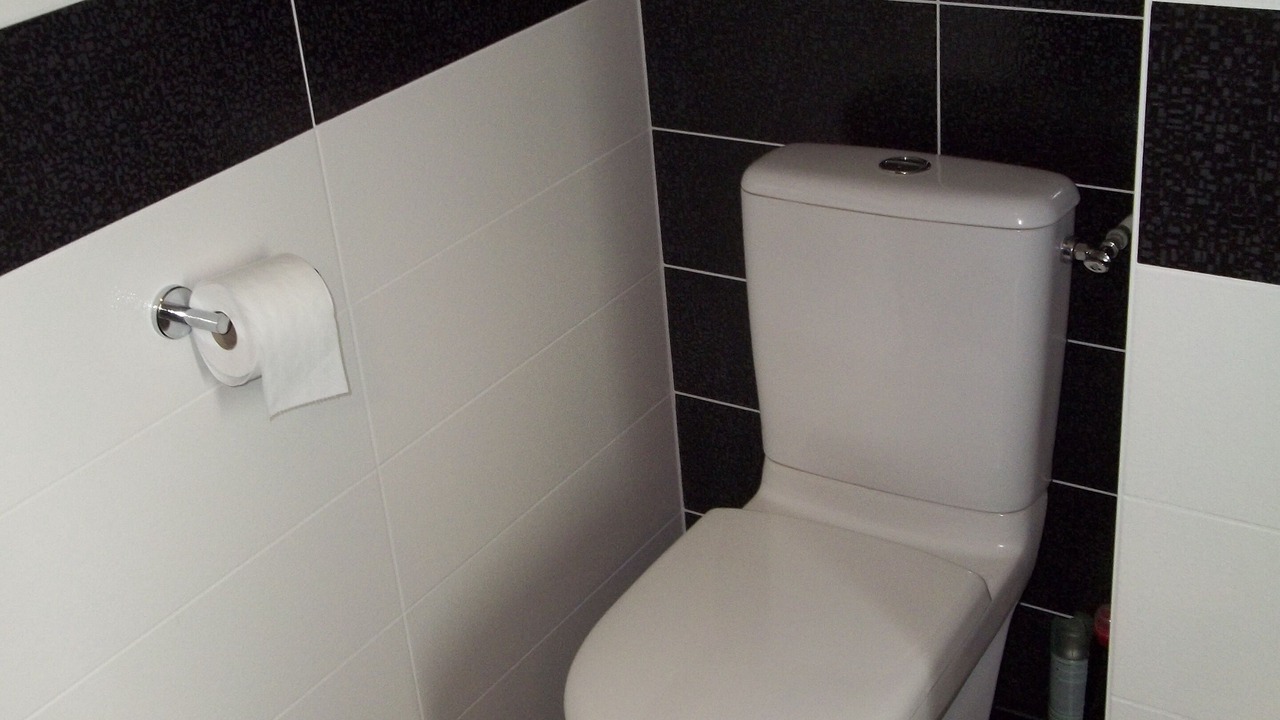 Photo of Bathroom in El Mas Bosca