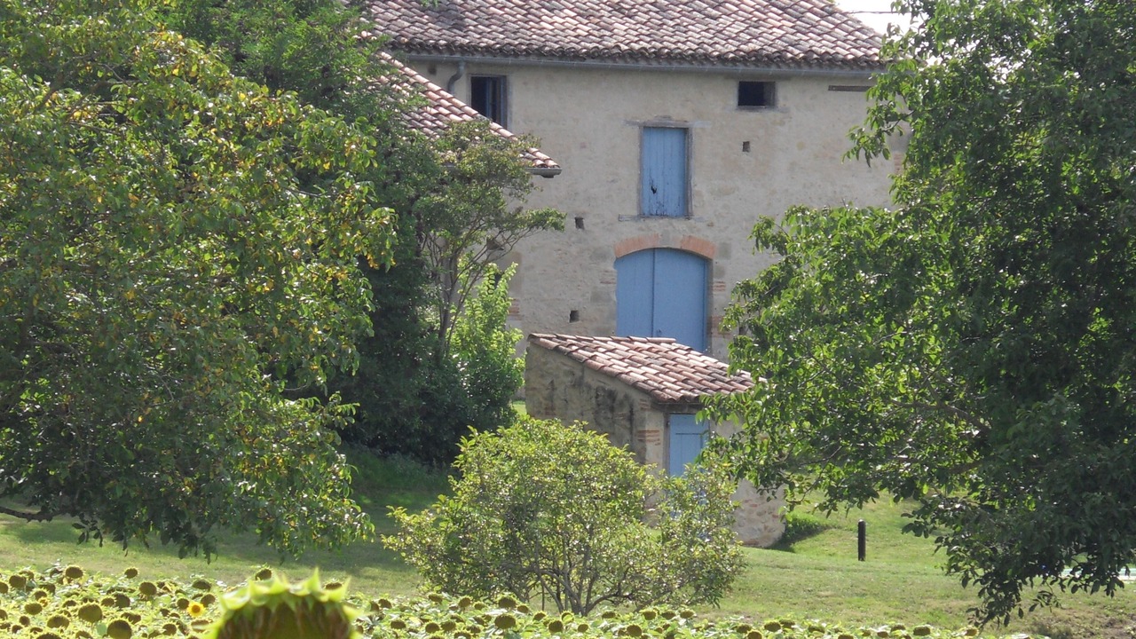 Photo of Outdoor in Cuq-Toulza