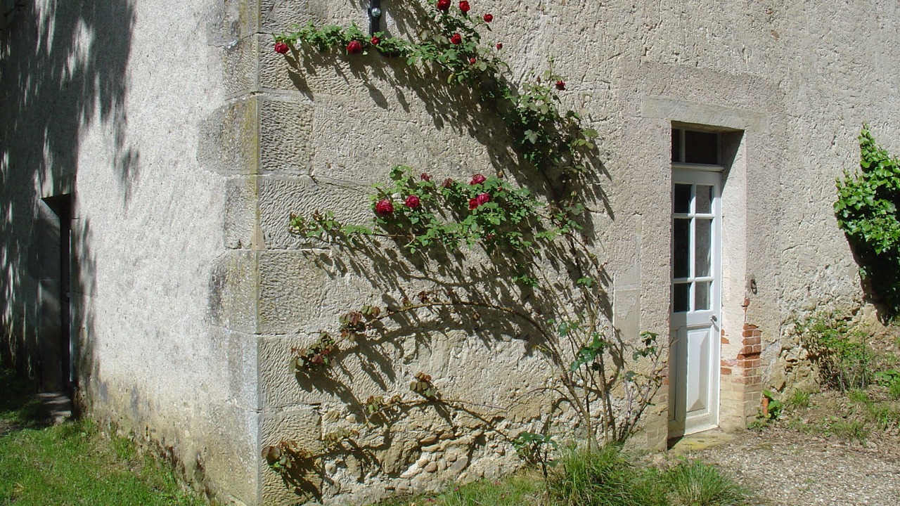 Photo of Outdoor in Soual