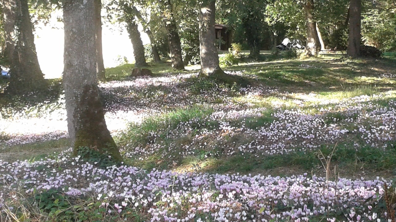 Photo of Outdoor in Soual