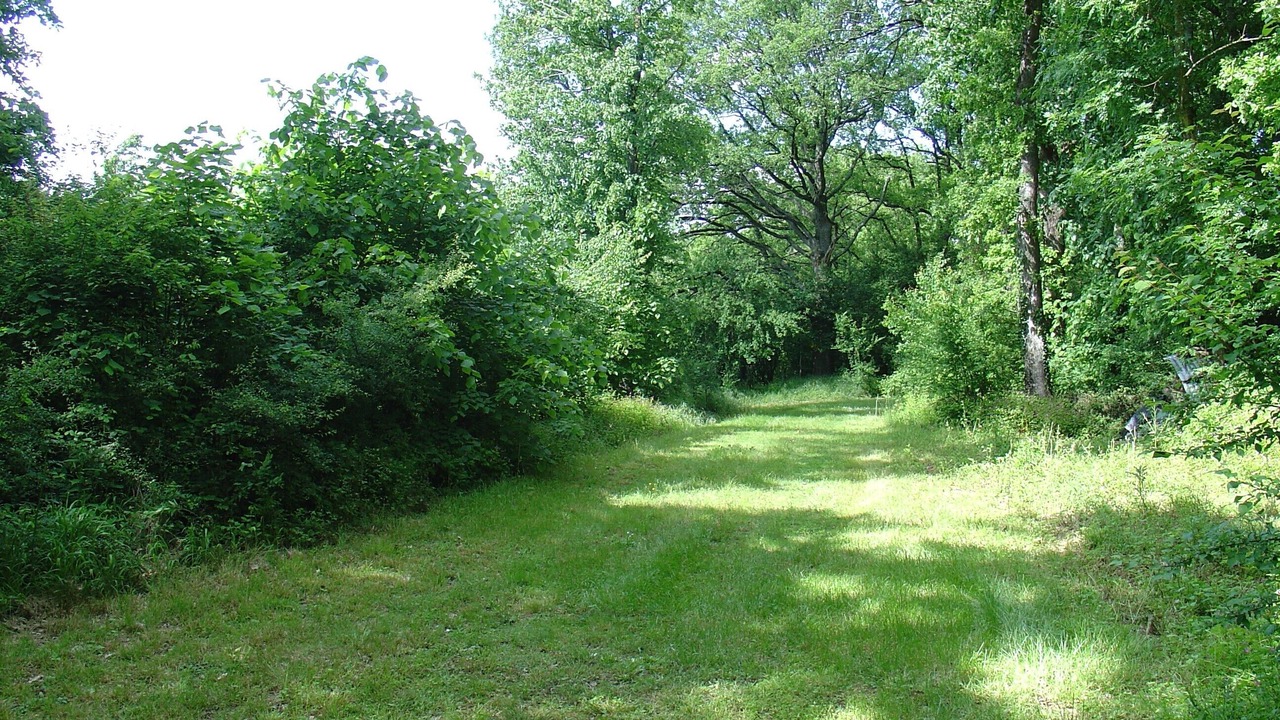 Photo of Outdoor in Soual