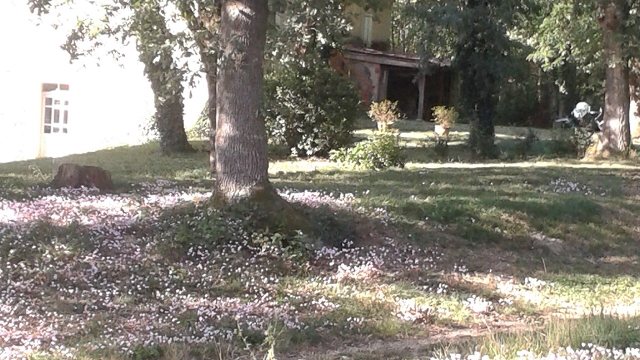 Photo of Outdoor in Soual