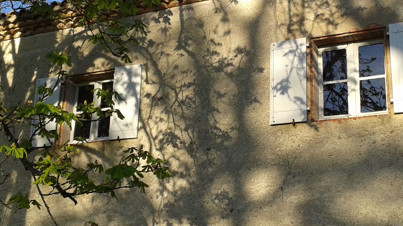Photo of Outdoor in Soual