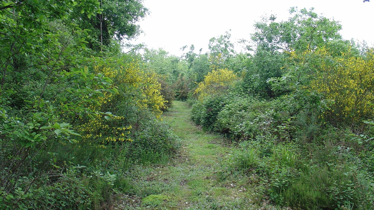 Photo of Outdoor in Soual