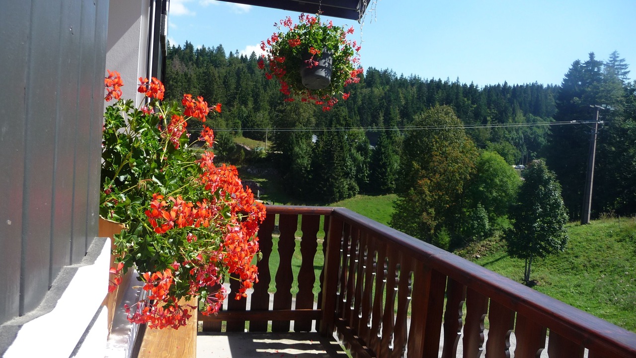 Photo of Outdoor in Lamoura