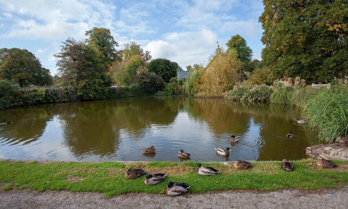 Photo of Others in Biddestone