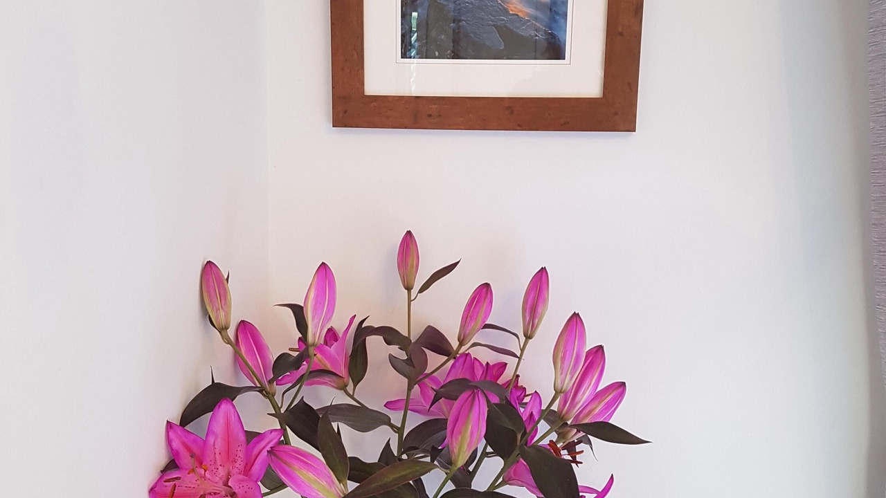 Photo of Others in Camelford