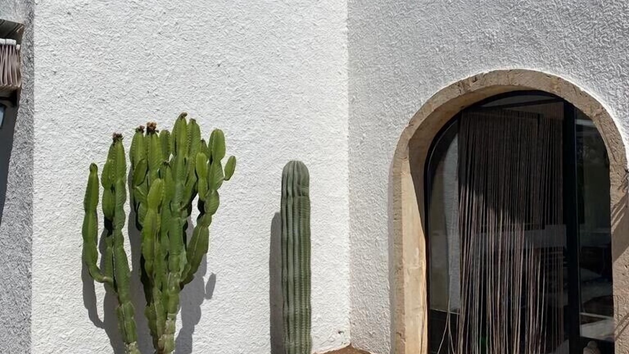 Photo of Others in Javea