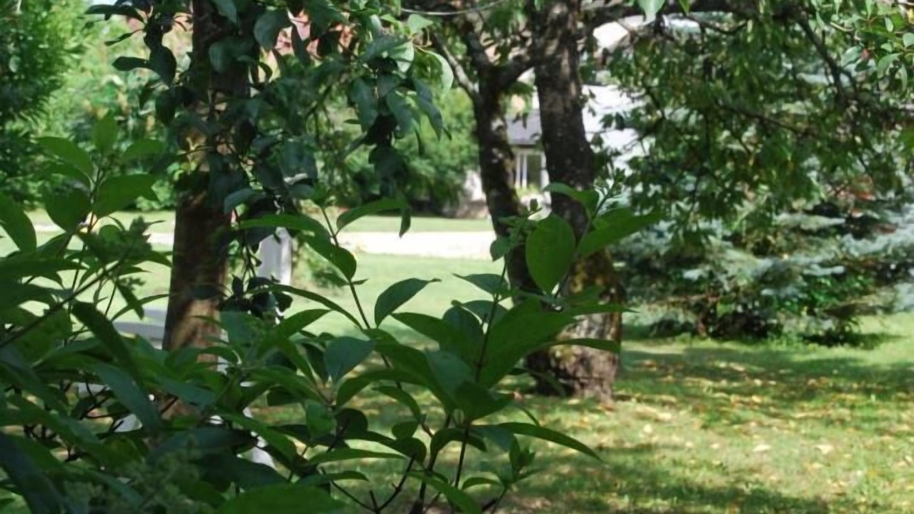 Photo of Outdoor in Semur-en-Auxois