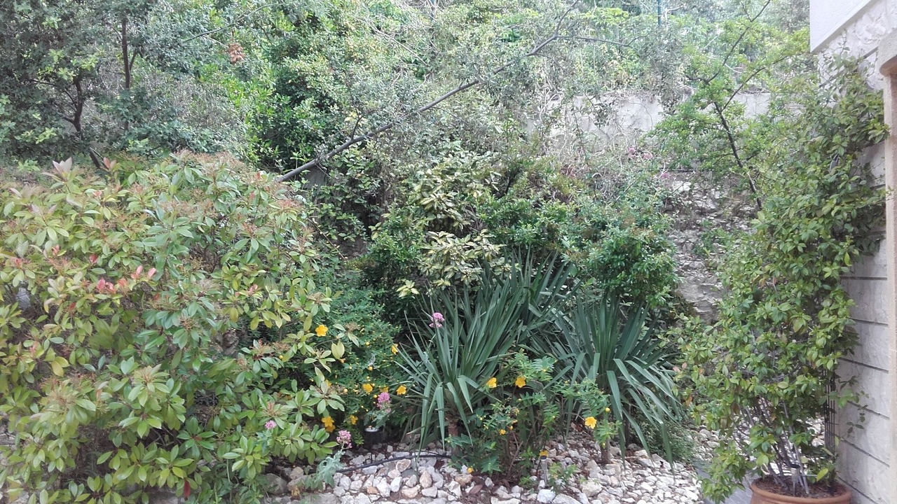 Photo of Outdoor in Bouc-Bel-Air