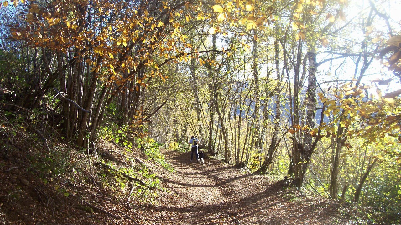 Photo of Outdoor in Oust