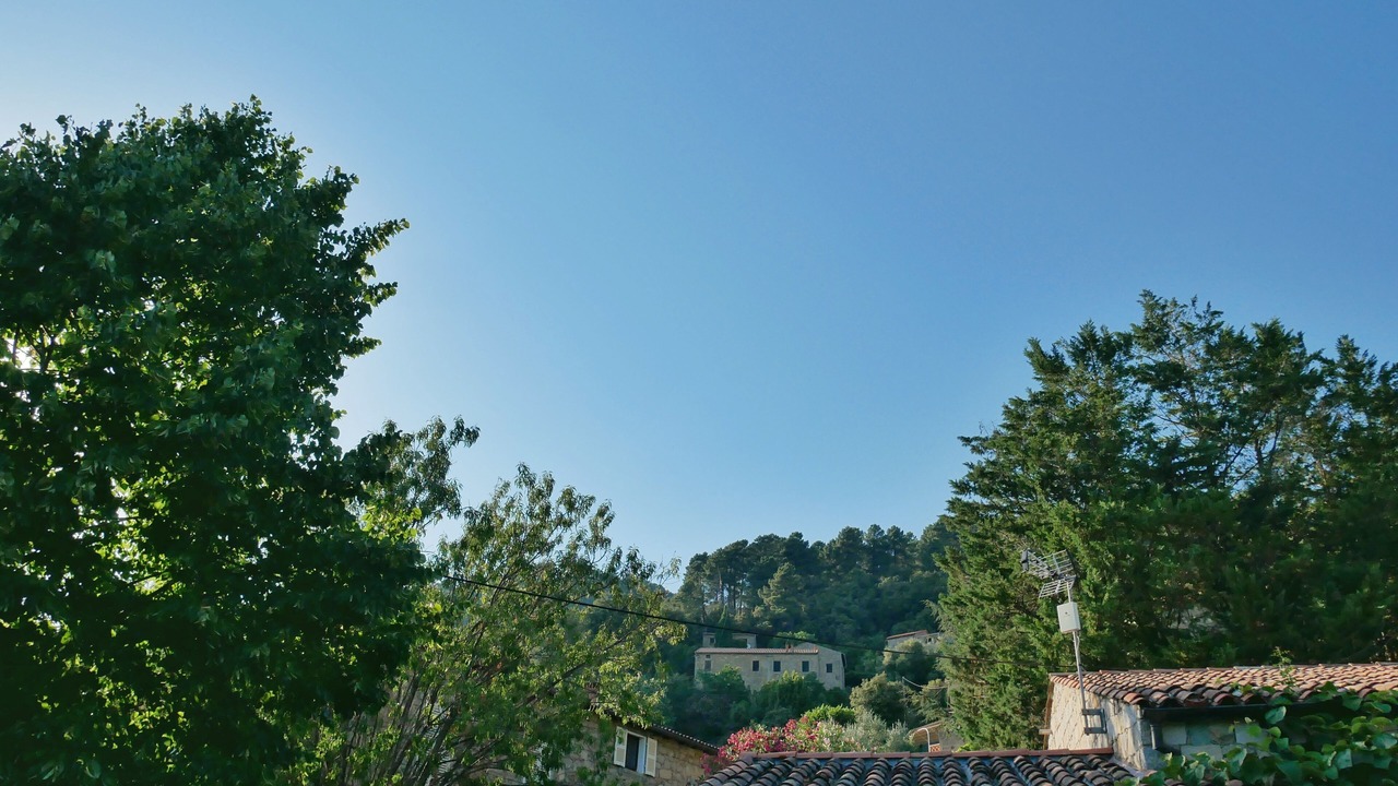 Photo of Outdoor in Vero