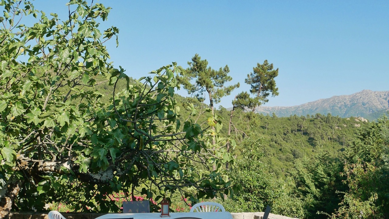 Photo of Outdoor in Vero