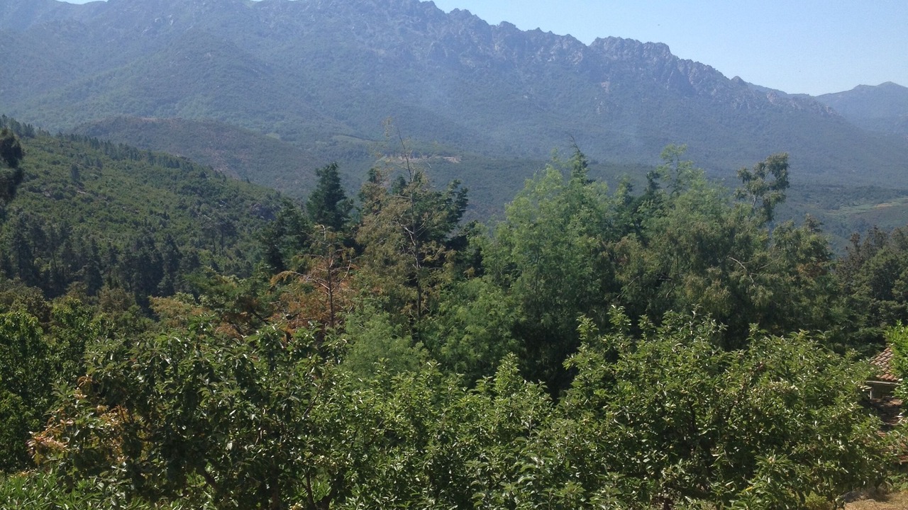 Photo of Outdoor in Vero