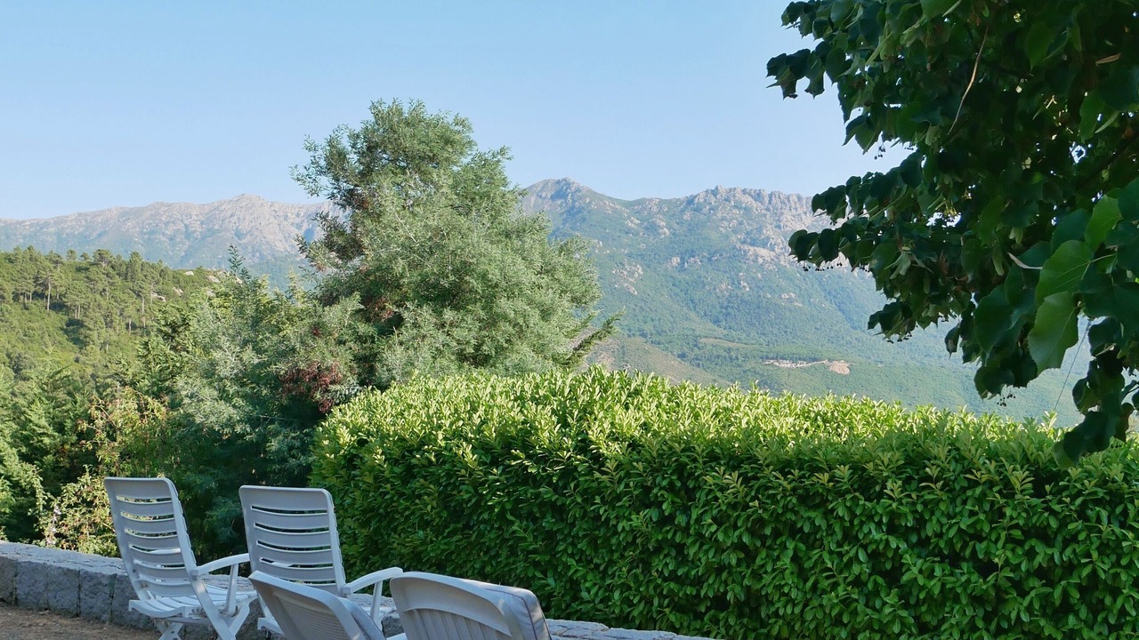 Photo of Outdoor in Vero