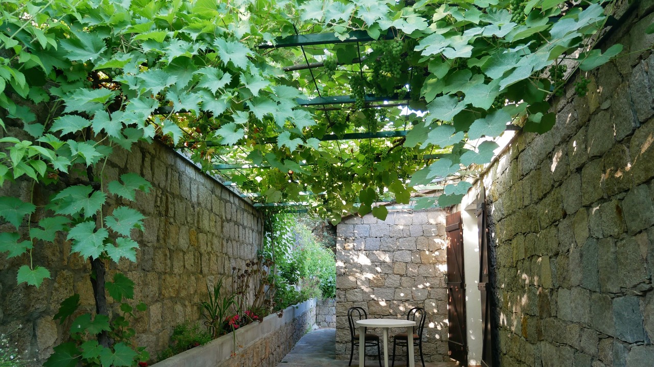 Photo of Outdoor in Vero