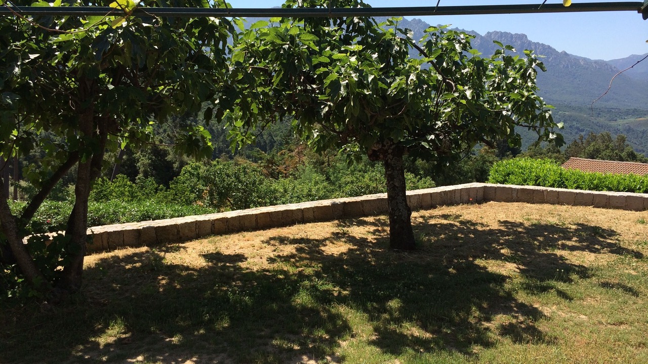 Photo of Outdoor in Vero