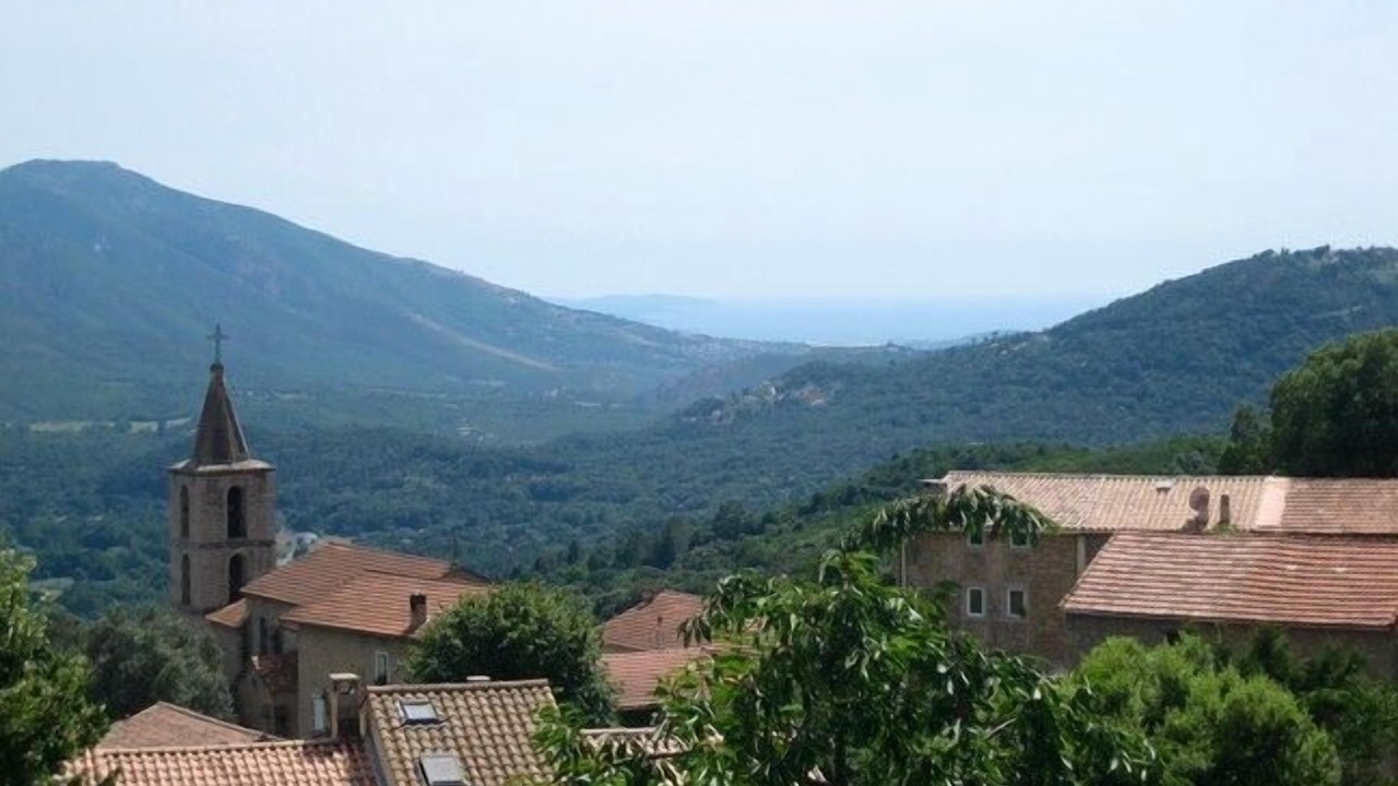 Photo of Outdoor in Vero