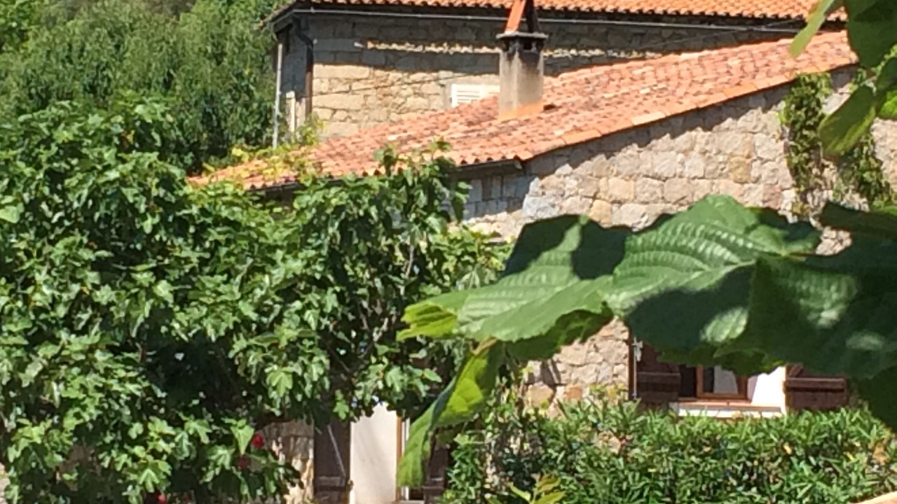 Photo of Outdoor in Vero