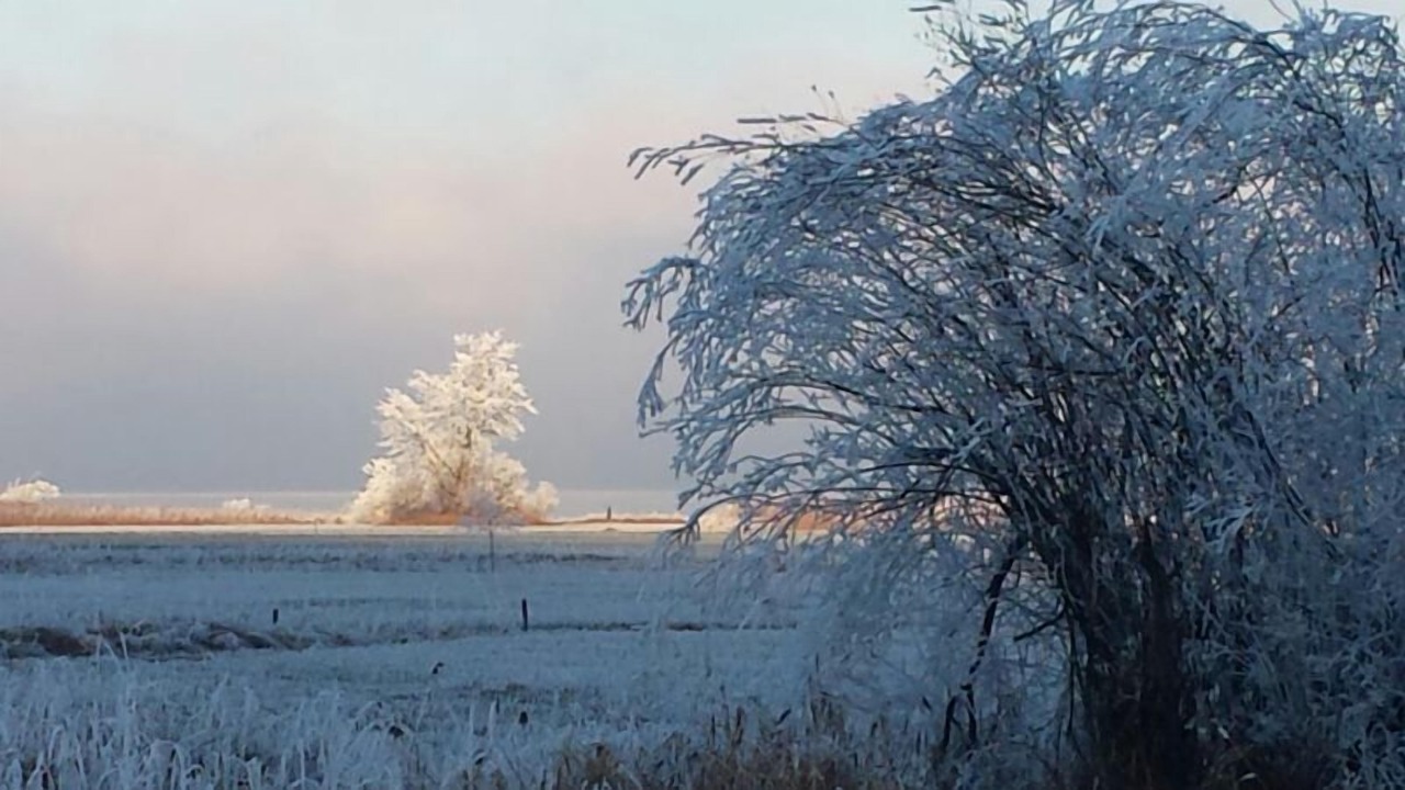 Photo of Outdoor in Giswil