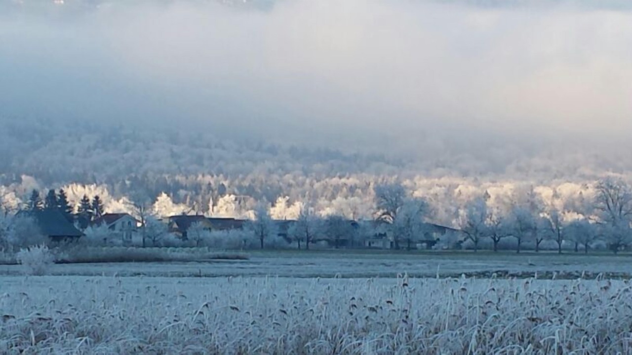 Photo of Others in Giswil